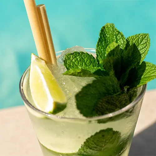 Sustainable Bamboo Straw Mojito – USA Eco Friendly Beverage